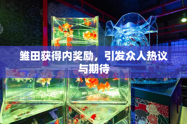 雏田获得内奖励，引发众人热议与期待