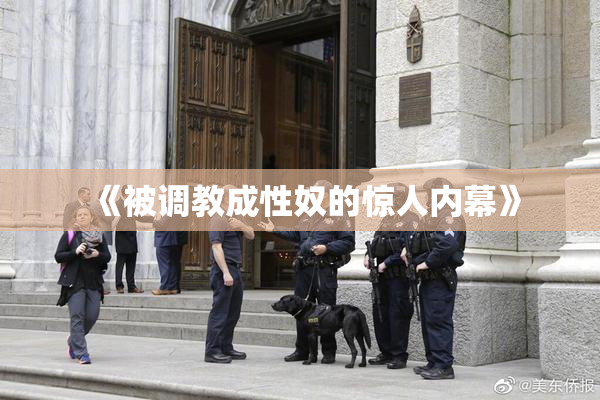 《被调教成性奴的惊人内幕》