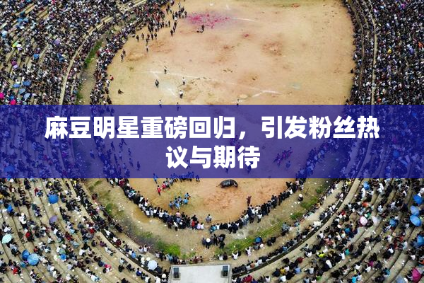 麻豆明星重磅回归，引发粉丝热议与期待