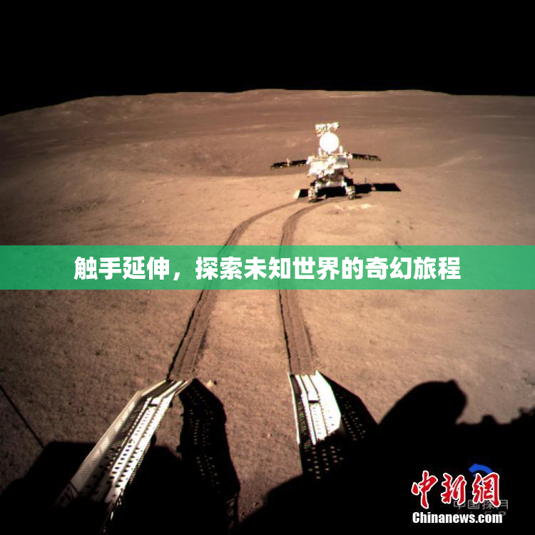 触手延伸，探索未知世界的奇幻旅程