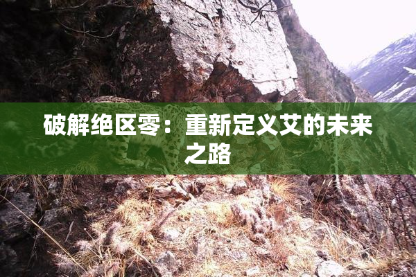 破解绝区零：重新定义艾的未来之路