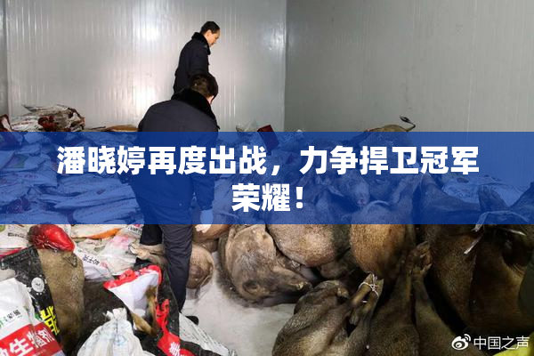 潘晓婷再度出战，力争捍卫冠军荣耀！