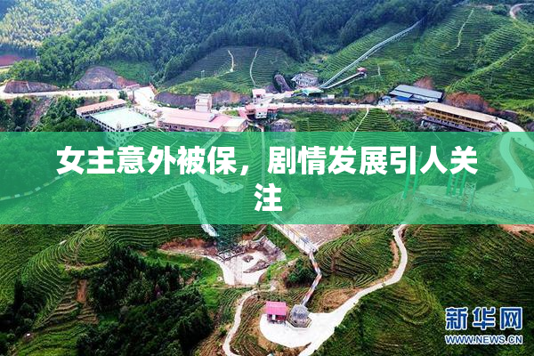 女主意外被保，剧情发展引人关注