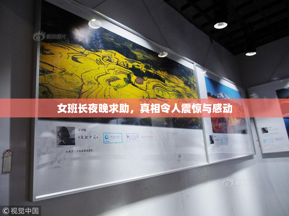 女班长夜晚求助，真相令人震惊与感动