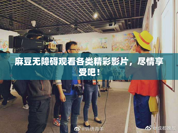 麻豆无障碍观看各类精彩影片，尽情享受吧！