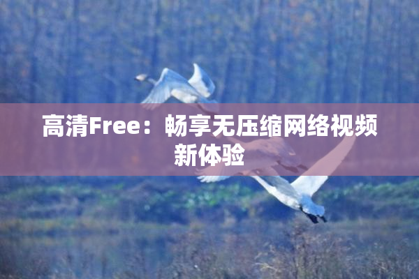 高清Free：畅享无压缩网络视频新体验