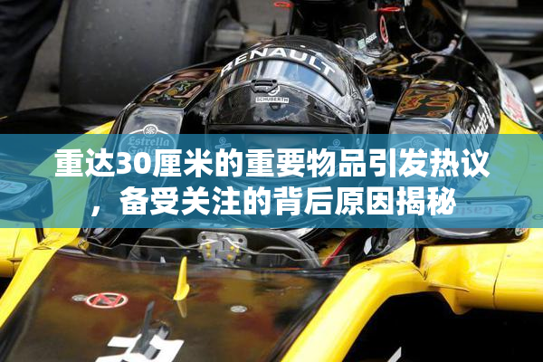 重达30厘米的重要物品引发热议，备受关注的背后原因揭秘