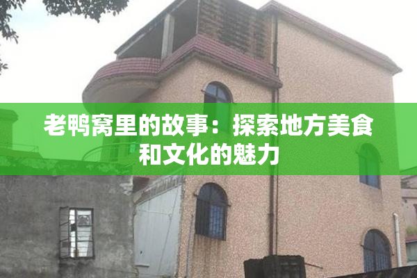 老鸭窝里的故事：探索地方美食和文化的魅力